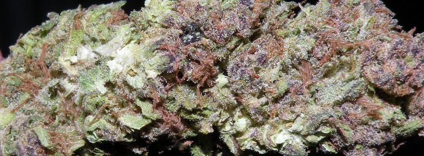 The Effects Of Hindu Kush