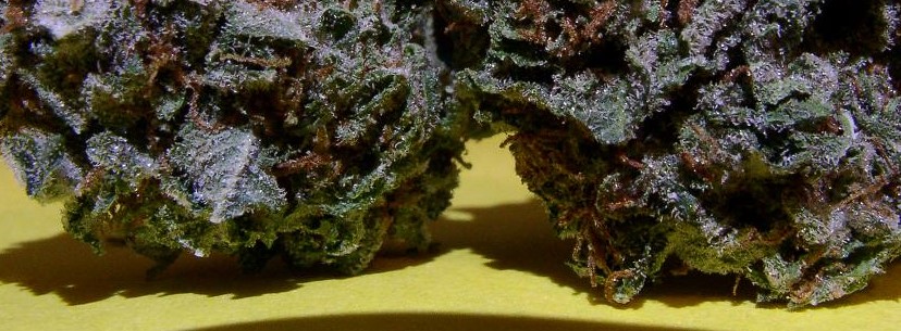 King Kush Effects