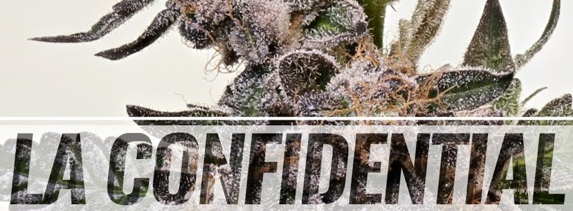 La Confidential