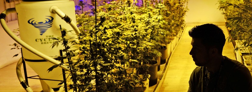 Legalizing Marijuana