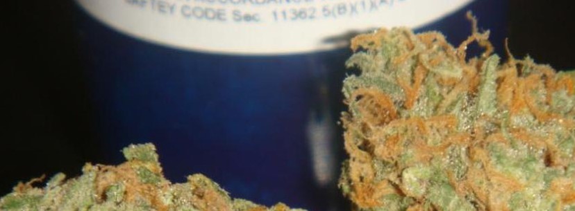 Medical Mango Kush