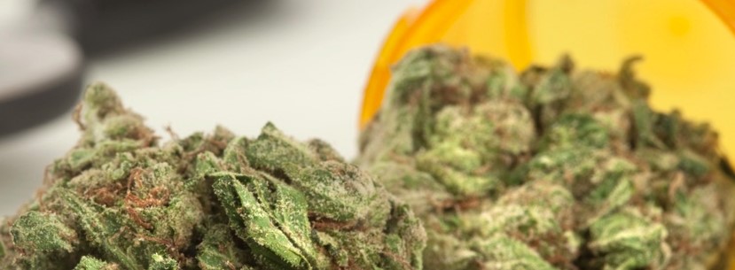 Medical Marijuana Research For Chronic Imflammation