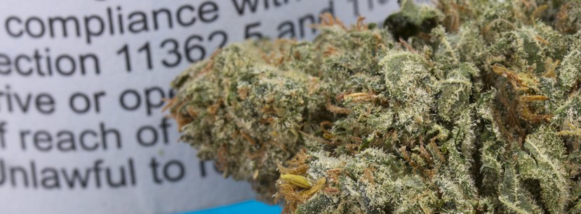 NYC Diesel Medical