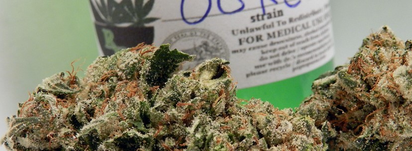 Ogre Medical