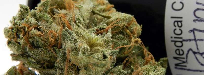 Presidential OG Medical