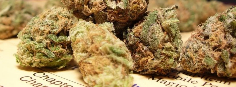 Purple Urkle