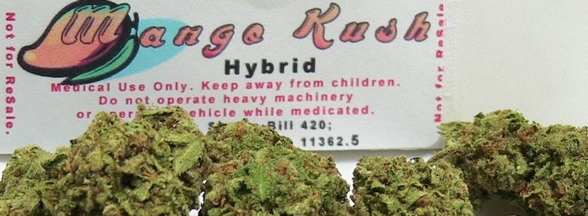 The Effects of Mango Kush