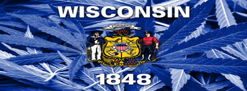 Wisconsin Flag With Strain