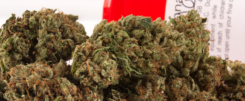3_Kings_Medical