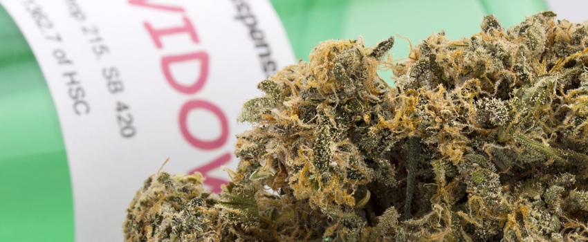 Black Widow Medical