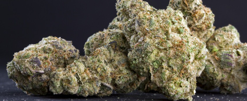 Bubble Gum Medical