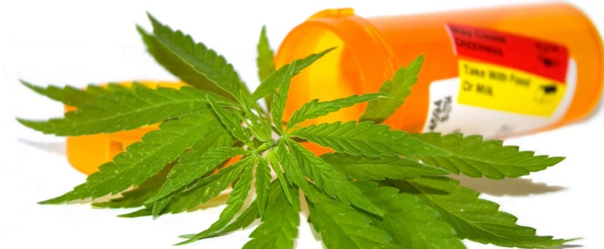 Critical Mass Medical