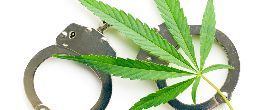 DEA & Medical Marijuana