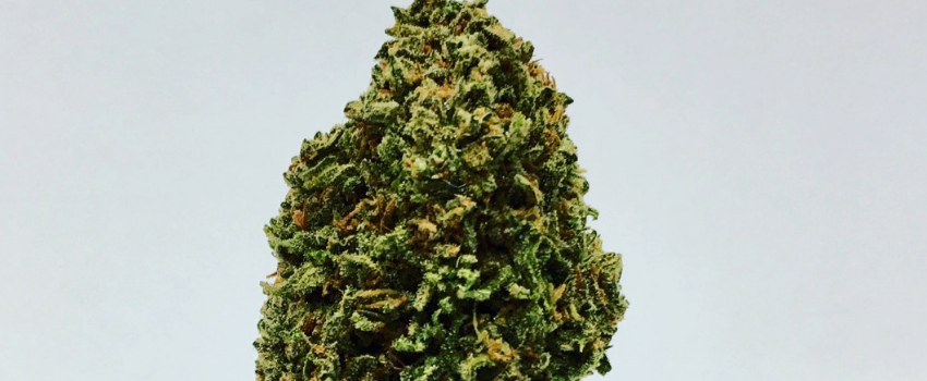 Dutch Treat Reaction
