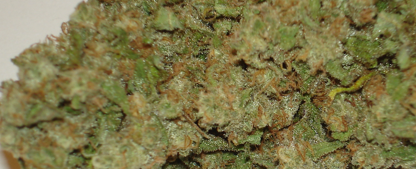 Jack Flash Effects