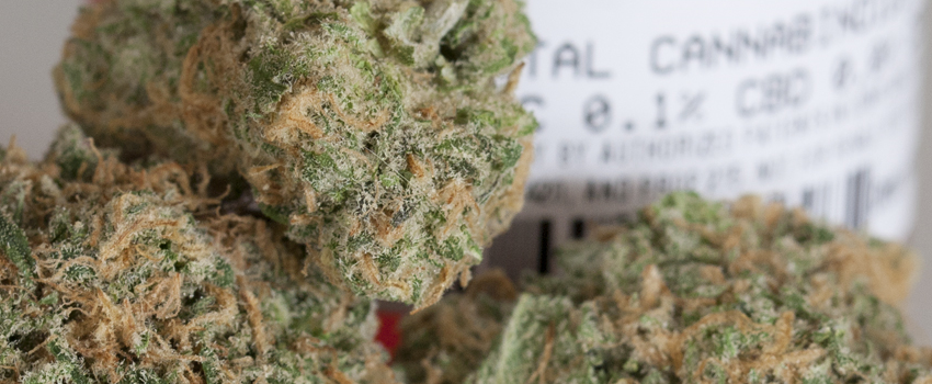 Medical_Marijuana