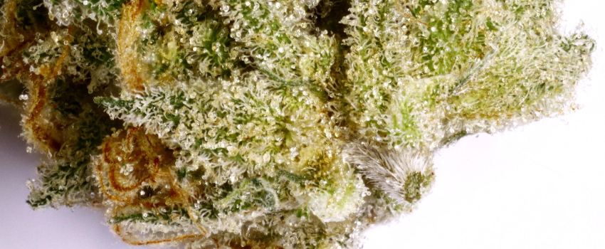 Silver Haze