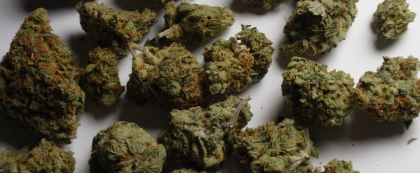 Violator Kush Flavors