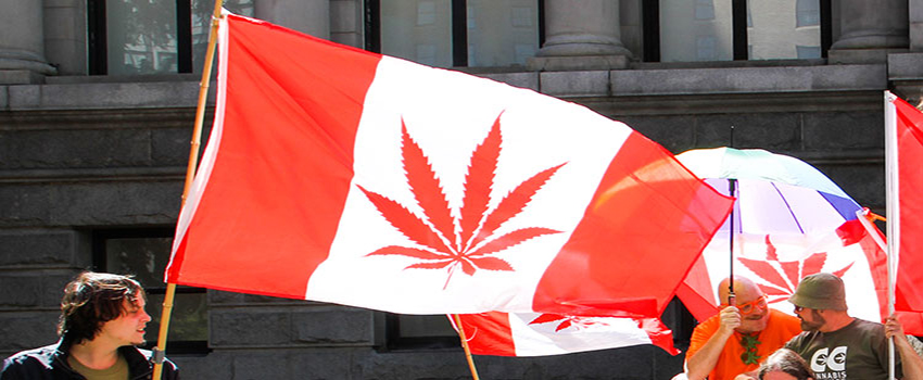 canada flag with strain