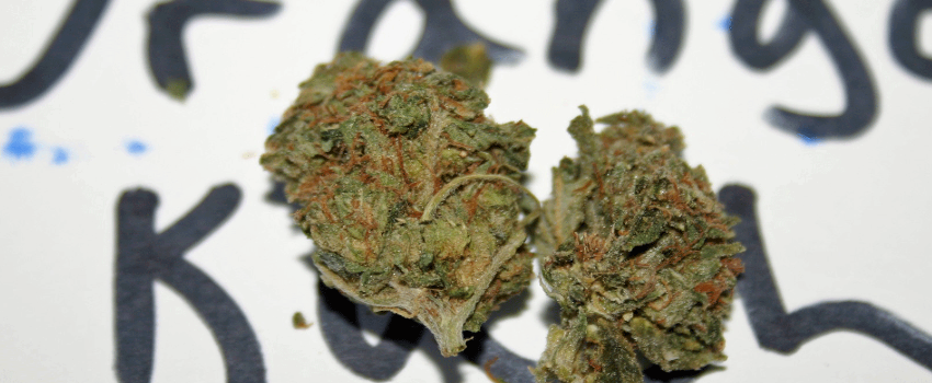 Adverse_Reaction_Of_Orange_Kush