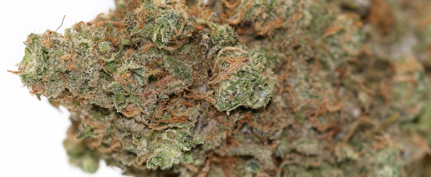 Blue Diesel Flavors