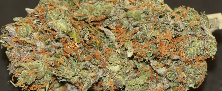 Dark Star Flavor