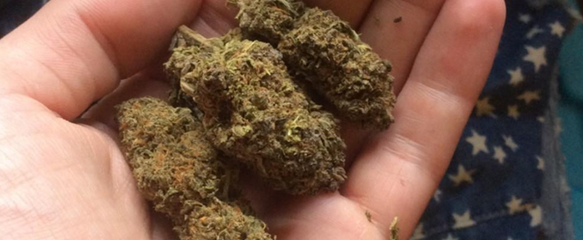 JR Medical Marijuana