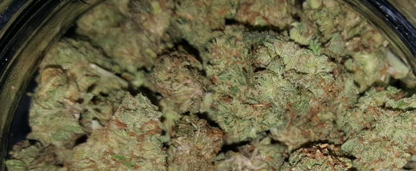 Juicy Fruit Adverse Reaction