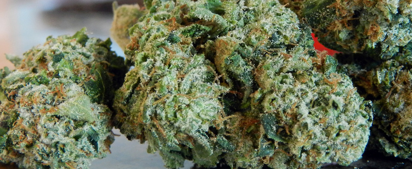 Larry OG Effects
