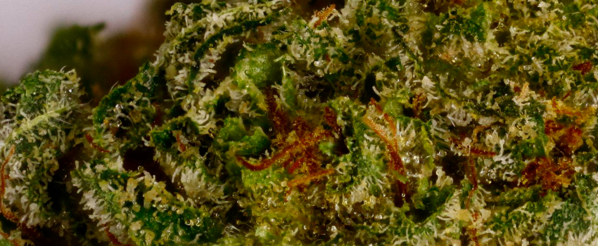 MK Ultra Flavors
