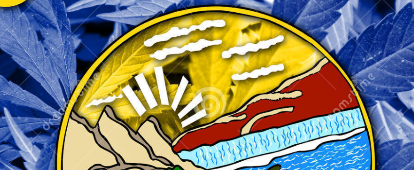 Marijauna_in_Montana