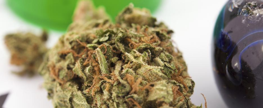 Medical_Marijuana