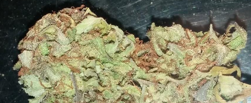 Obama_Kush_Effects