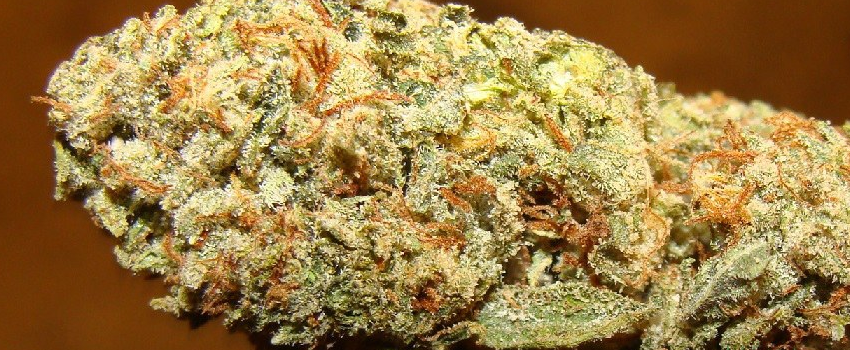 Pineapple Kush Effects