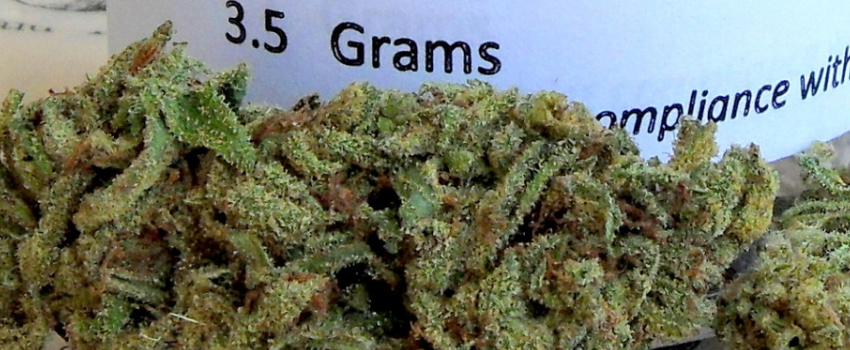 Pineapple Trainwreck Medical