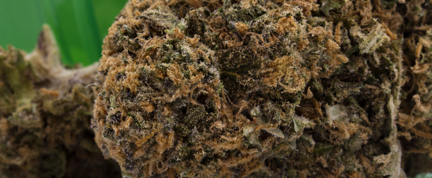 Snowcap Effects