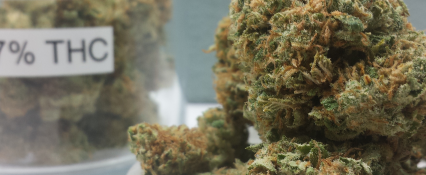 Snowcap Medical
