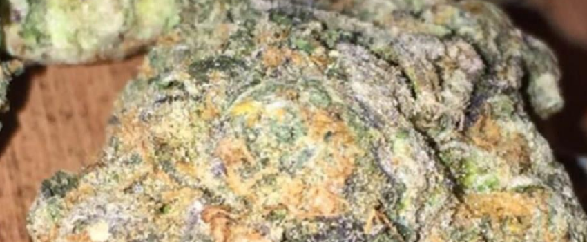 Thin_Mint_Adverse_Reaction