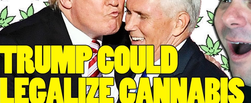 Trump_Could_Legalize_Cannabis