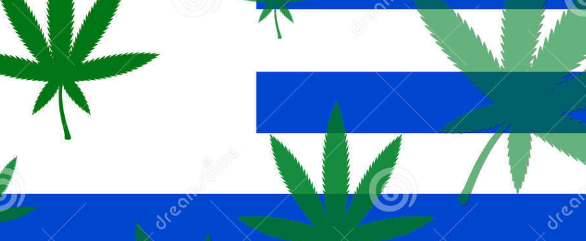 Urguay_with_Medical_Marijuana