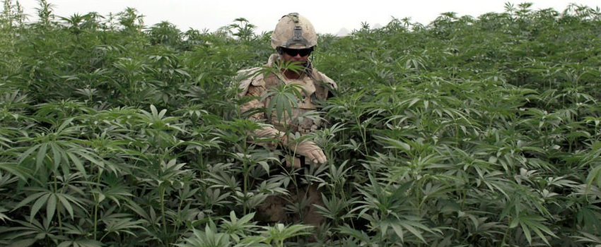 Afghan_Effects
