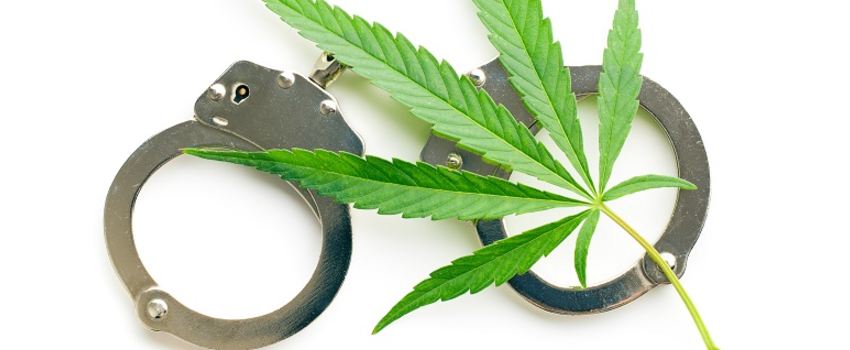 Breaking_Marijuana_Laws