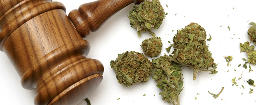 Breaking_Marijuana_Laws