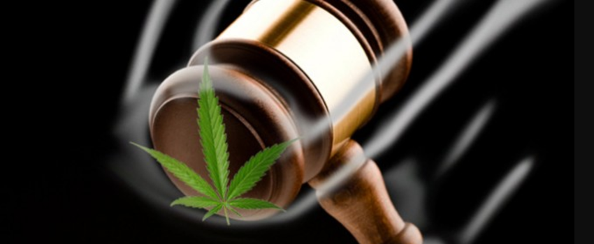 Breaking_Marijuana_Laws