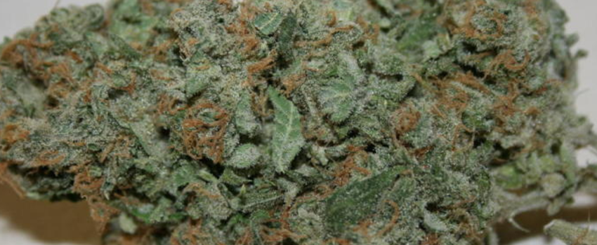 Cherry_Bomb_Flavors