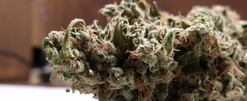 Chiesel_Medical