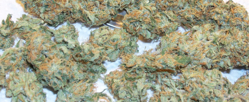 Haze