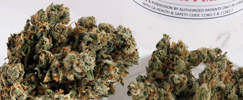 Jack_The_Ripper_Medical