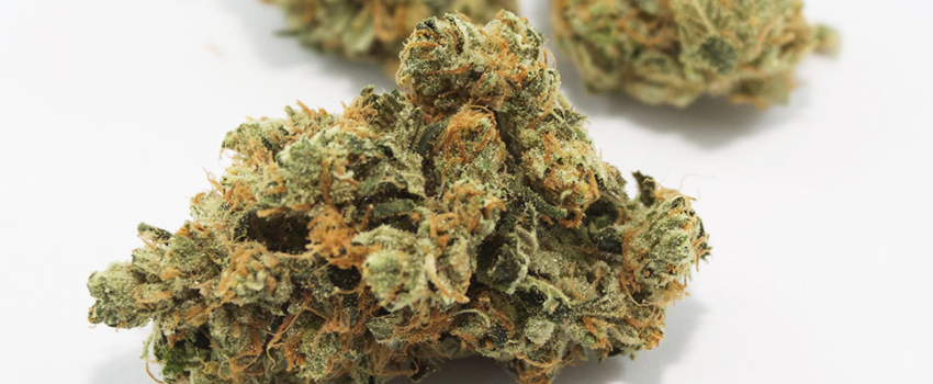 Khalifa Kush Effects
