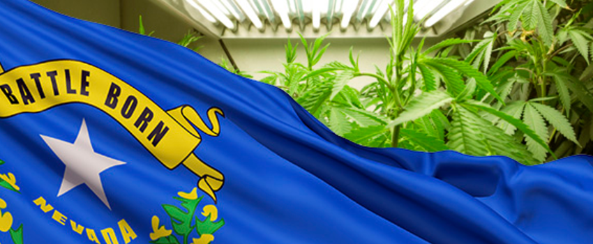 Nevada_Flag_with_Marijuana